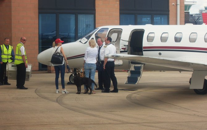 Pets on jets: caring for yourself and your furry friend