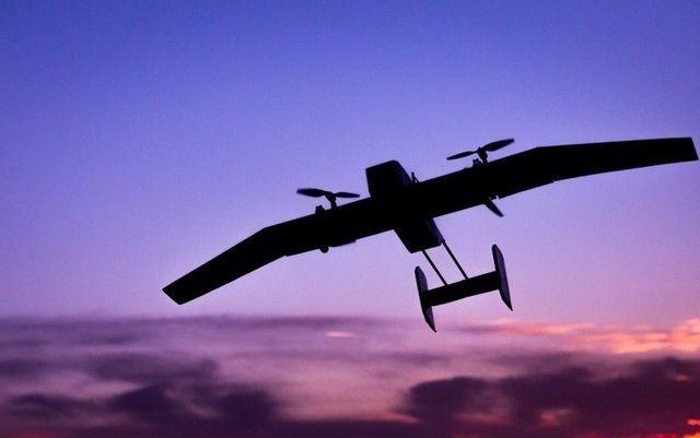 Is it a bird? No it&rsquo;s a Wingcopter