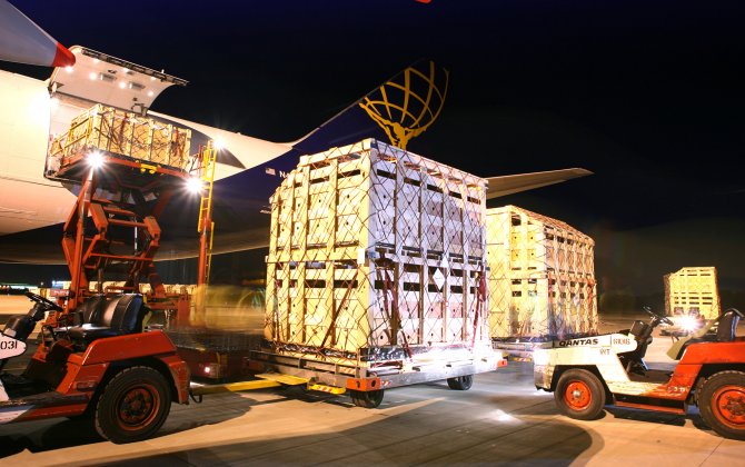 The Real Cattle Class: Cows Fly to China on 747s