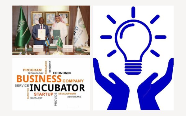 The Caribbean will get business incubators! A chance for future air mobility?
