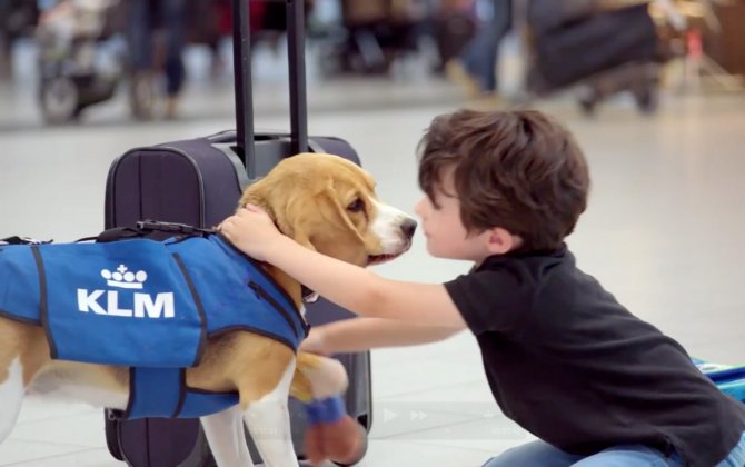 Do we know how it works? KLM Lost & Found service