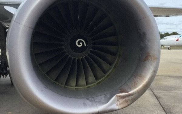American B738 at Orlando on Nov. 14, 2015, Bird Strike