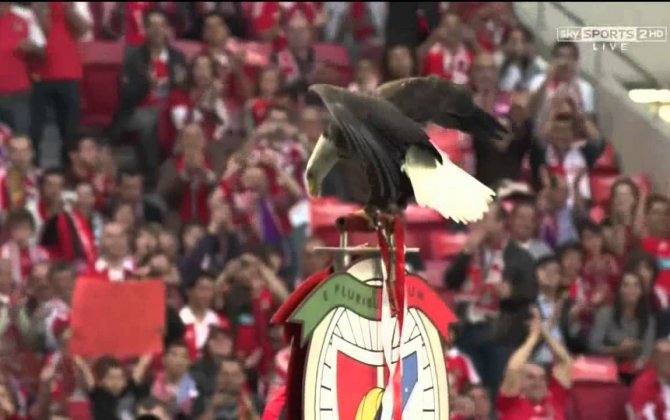 Great idea -Benfica Safety video | Emirates