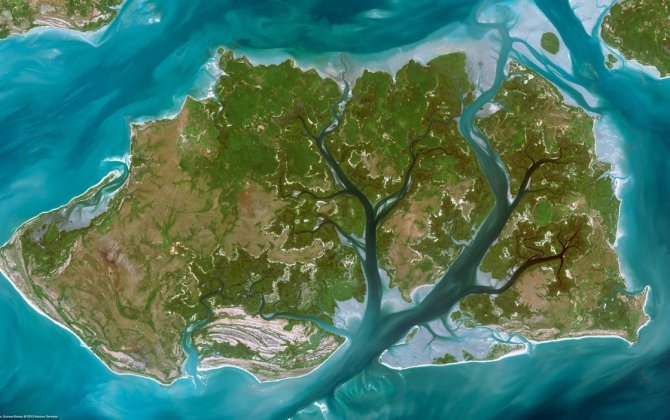 Airbus and partners launch &lsquo;Starling&rsquo; satellite service