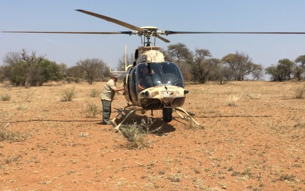 Bell 407GT Helicopter used to tackle Rhino Poachers in South Africa