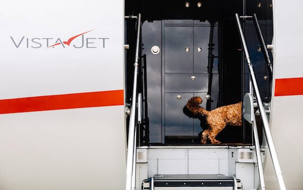 Global pet travel program - ask VistaPet how to do your best