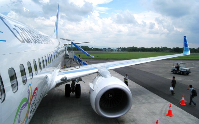 Indonesian passengers stung by delay due to bee on plane