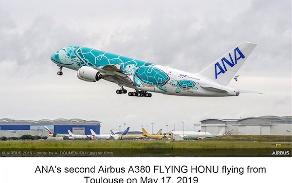 Meet FLYING HONU - the second ANA A380