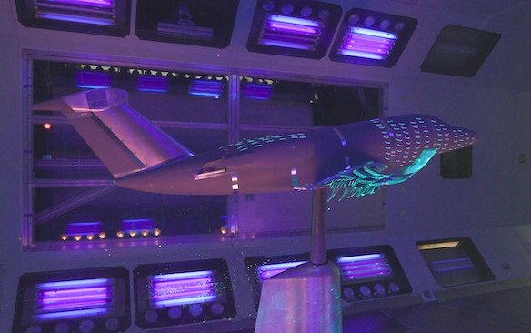 Nature-inspired wing demonstrator completes wind-tunnel tests