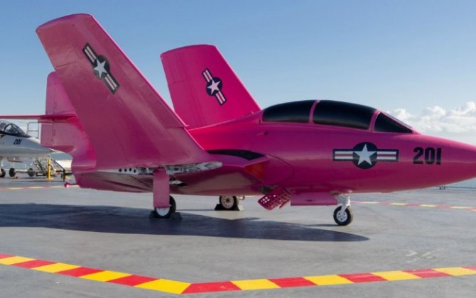 Pretty in pink: Navy fighter jet painted for Breast Cancer Awareness month