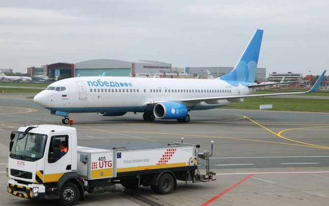 Russian airports neglect bird hazard &mdash; airline CEO 