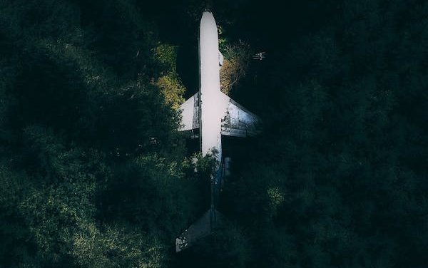  To accelerate business aviation green recovery, two working groups are launched 