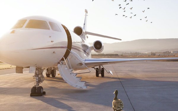 VA Footprints by Vertis Aviation pledges to offset carbon for all customers