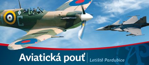 Aviation Fair